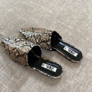 Zara Mules never worn!!